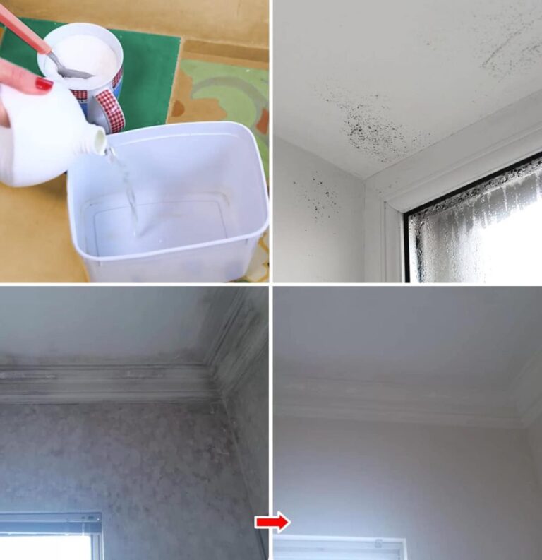 Come eliminare la muffa con il trucco dello zucchero