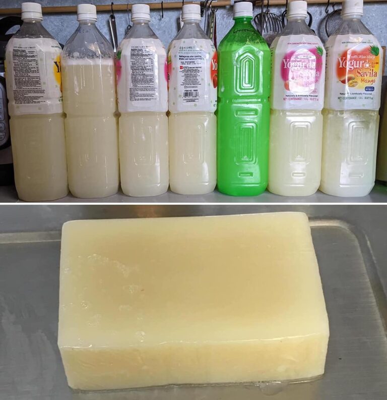 Trucco infallibile per convertire 1 barra di sapone in 3 litri di detersivo liquido