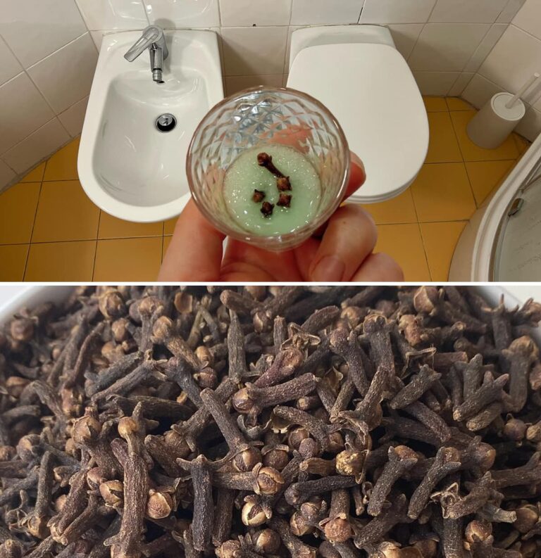 Il trucco naturale per neutralizzare i cattivi odori in bagno e profumarlo per giorni