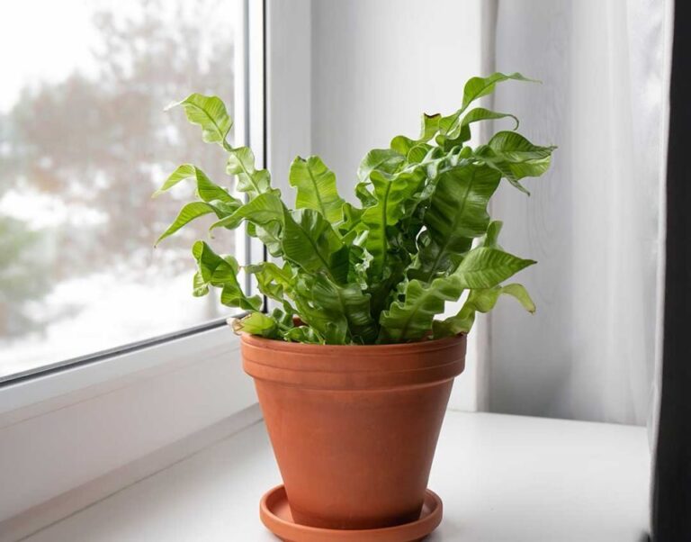 Davvero intelligente!