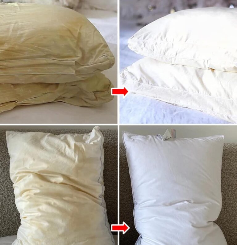 Metodo vellutato ed efficiente per lavare, pettinare e cucinare