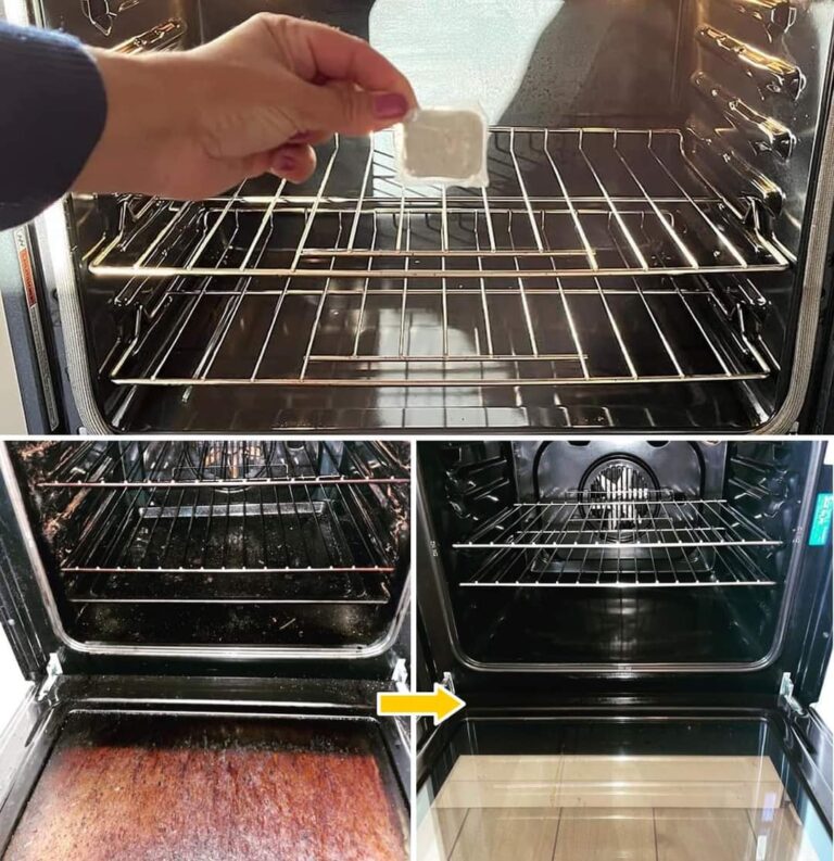 Come rimuovere l’olio bruciato dal forno senza sforzo e senza prodotti chimici