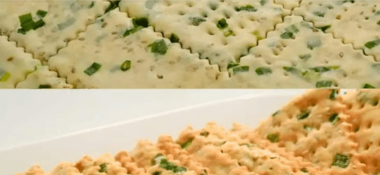 Crackers alla cipolla verde