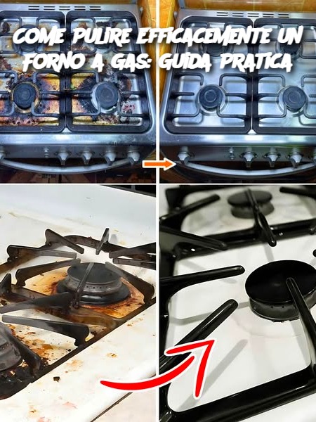 Come Pulire Efficacemente un Forno a Gas: Guida Pratica