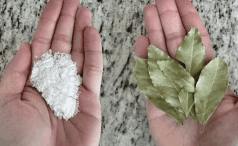 Alloro, sale e bicarbonato: incredibili benefici in casa