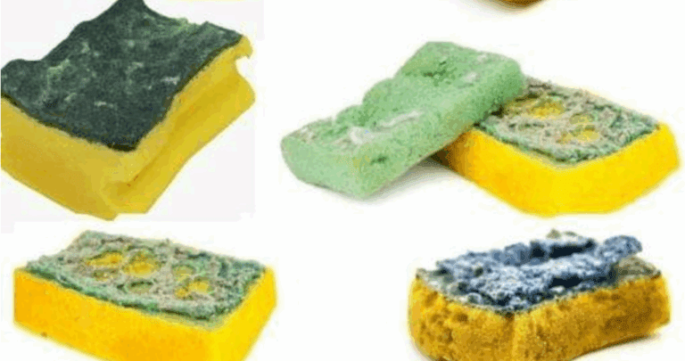 Perché non dovresti buttare via le vecchie spugne? Scopri come possono aiutare il tuo giardino